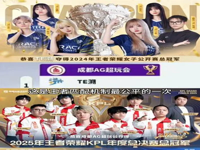 TE溯不敌AG超玩会告别挑杯